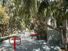 Residence a Praia a Mare con Animazione