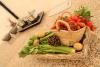 Cucina Bio con Prodotti Locali a Orbetello