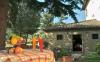 Appartamenti Villa soli 2 km dal centro Cortona