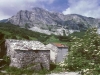 Campocatino, natura e prodotti tipici