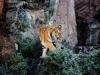 Visit the Famous Biopark Zoo in Rome