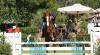 Corsi di equitazione e dressage