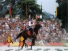 quintana ascoli piceno