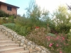 Servizio giardino e terrazzo sempre in fiore