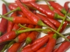 Prodotti a base di Peperoncino